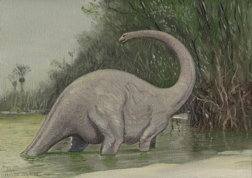 Alleged Living Dinosaur Mokele-Mbembe Sound Recording 