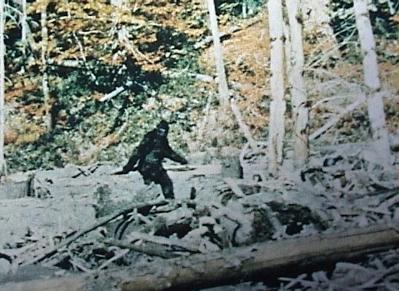 Finding Bigfoot Festival