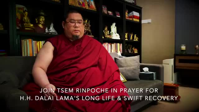 Join Tsem Rinpoche in prayer for H.H. Dalai Lama’s long life~ https://www.youtube.com/watch?v=gYy7JcveikU&feature=youtu.be
